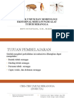 Bentuk Umum Dan Morfologi Eksternal Serta Fungsi Alat 2023