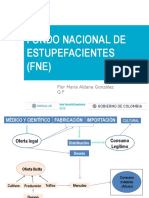 Presentación FNE 21062018