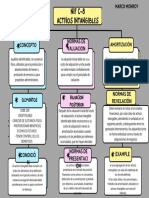 Nif C-8 Activos Intangibles