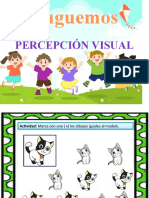 Percepciòn Visual