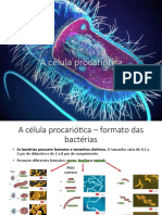 Aula 2 - Célula Bacteriana Crescimento e Controle - 230312 - 151735-17-42