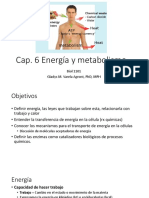 Biol 1101 Cap. 6 Energía y Metabolismo