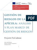 4.3. Análisis y Plan Marco GDR - Apícola.