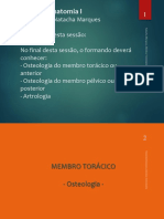 Anatomia PDF Ossos