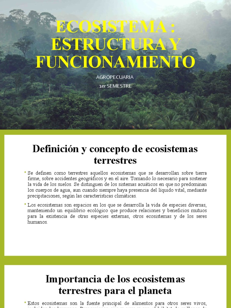Estructura y Función de Ecosistemas Terrestres | PDF | Ecosistema | Suelo