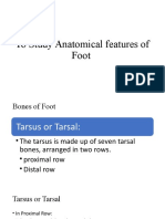 To Study Anatomical Features of Foot