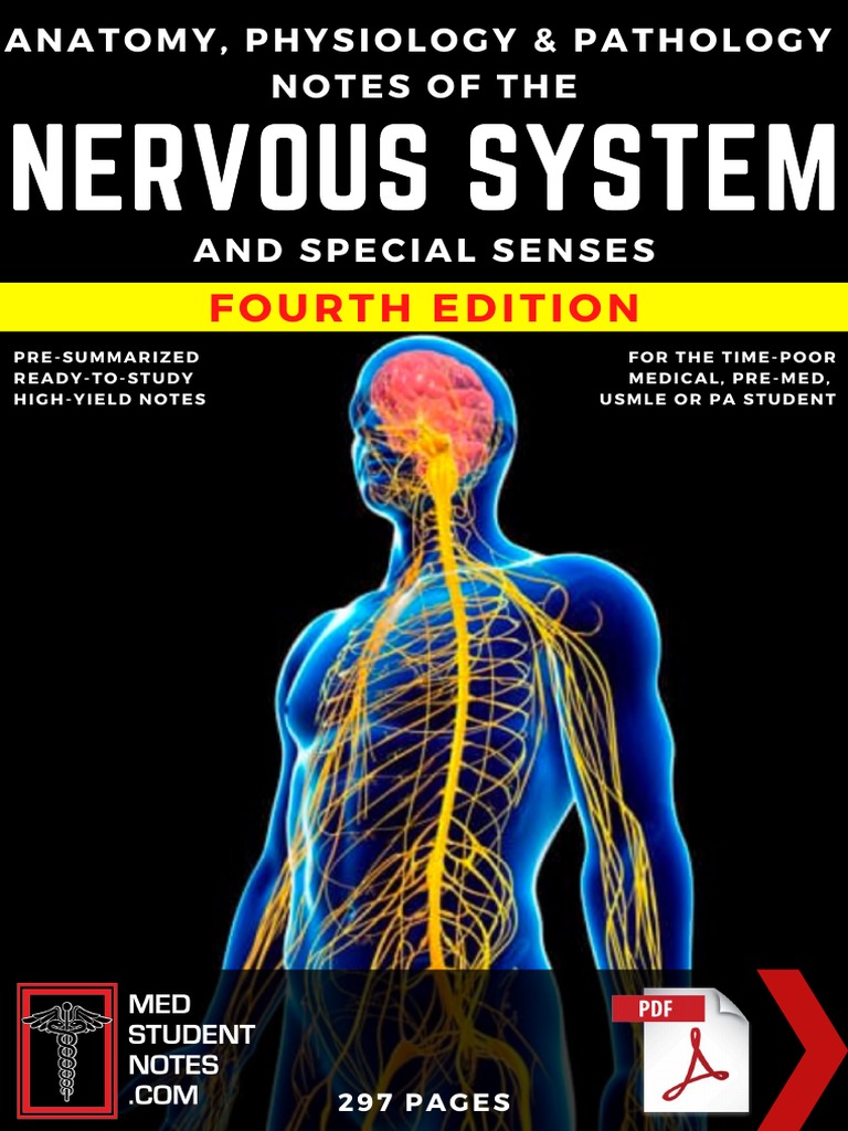 Nervous System - 4th Ed | PDF | Central Nervous System | Nervous System
