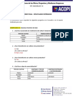 Resumen de Informe Final