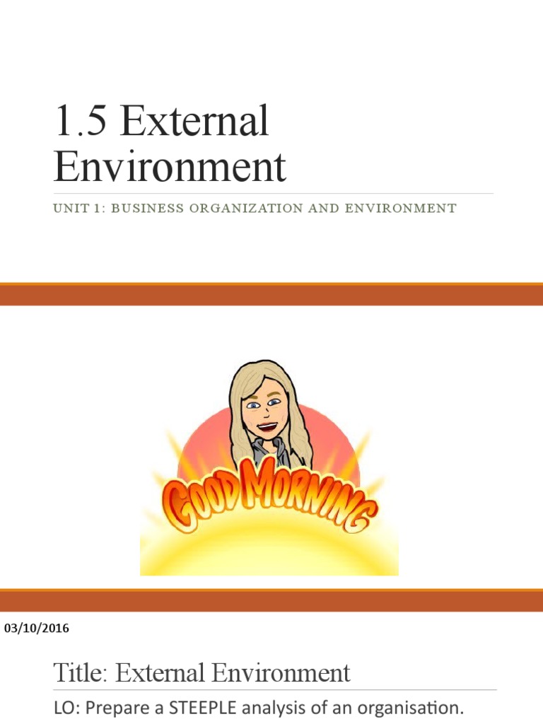 Define External Environment