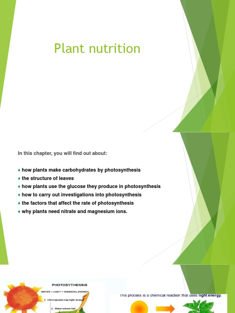 plant-nutrition-pdf-plant-nutrition-nutrients