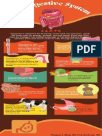 The Digestive System