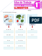 Los Alimentos