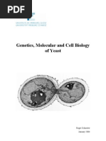 Download Yeast Genetics by diashx7 SN66978585 doc pdf