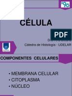 2 - Célula 1