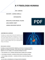 Anatomia y Fisiologia Humana Expo