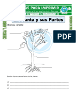 Ficha de La Planta y Sus Partes para Tercero de Primaria 190930030733