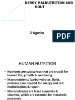 Protein Energy Malnutrition and Gout Med4 2023