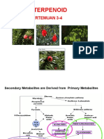 1-Materi Terpenoid