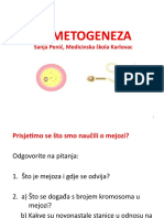 Gametogeneza 1