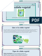 Estadares de Competecia de Ciencianaturales