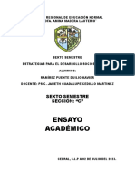 Ensayo Academico