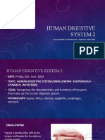 Human Digestive System 2.1