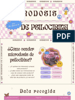 Investigación Microdosis de Psylocibina