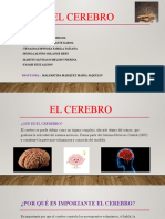 El Cerebro