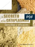 TSN Secreto Cataplasmas V2 1