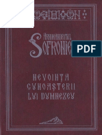 Sf. Sofronie - Nevointa Cunoasterii lui Dumnezeu