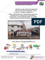 Informe Ssoma