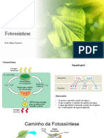Fotossíntese