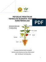 PETUNJUK PRAKTIKUM DTBT Agroteknologi 2023