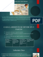 Anatomía Del Oído Interno