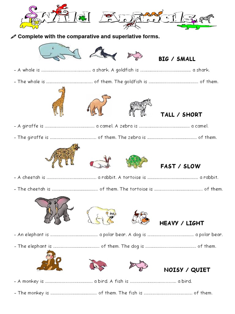 Comparison With Animals | PDF | Organisms