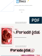 Periodo Fetal 470003 Downloadable 703470
