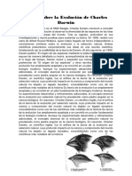 Teoría Sobre La Evolución de Charles Darwin Logan Ferez