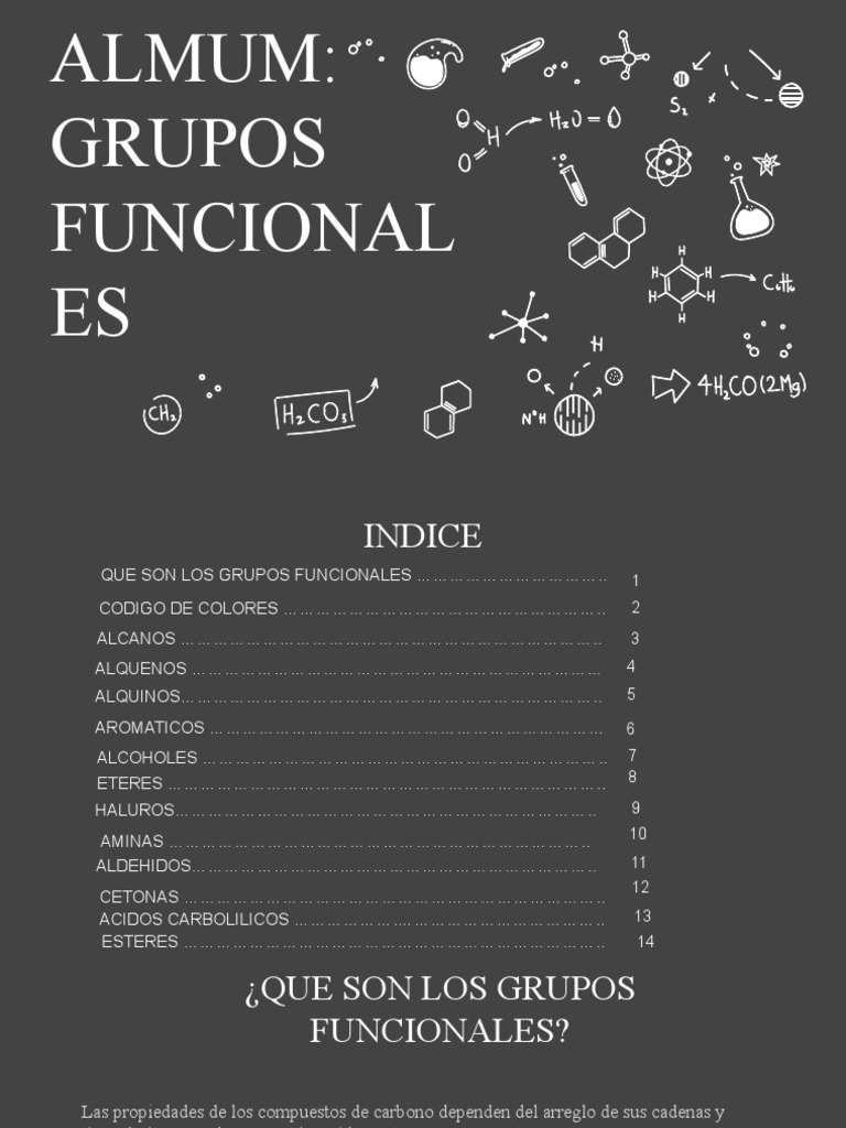 album-grupo-funcionales-pdf-cetona-ester