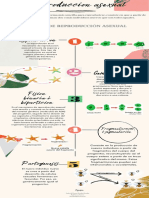 Actividad 2.1 Infografía