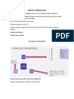 Notas de Practica Medica II