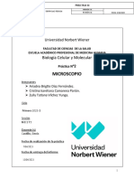 Informe Del Microscopio-2