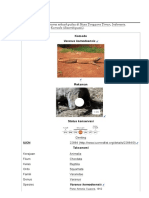 Komodo - Wikipedia Bahasa Indonesia, Ensiklopedia Bebas