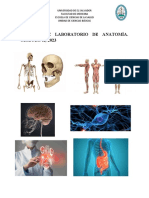 Manual de Laboratorio de Sistema Muscular Estudiantes