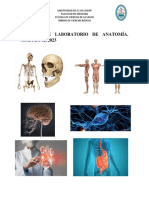 Manual de Laboratorio de Sistema Muscular