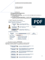 Regulación Del Sector Telecomunicaciones