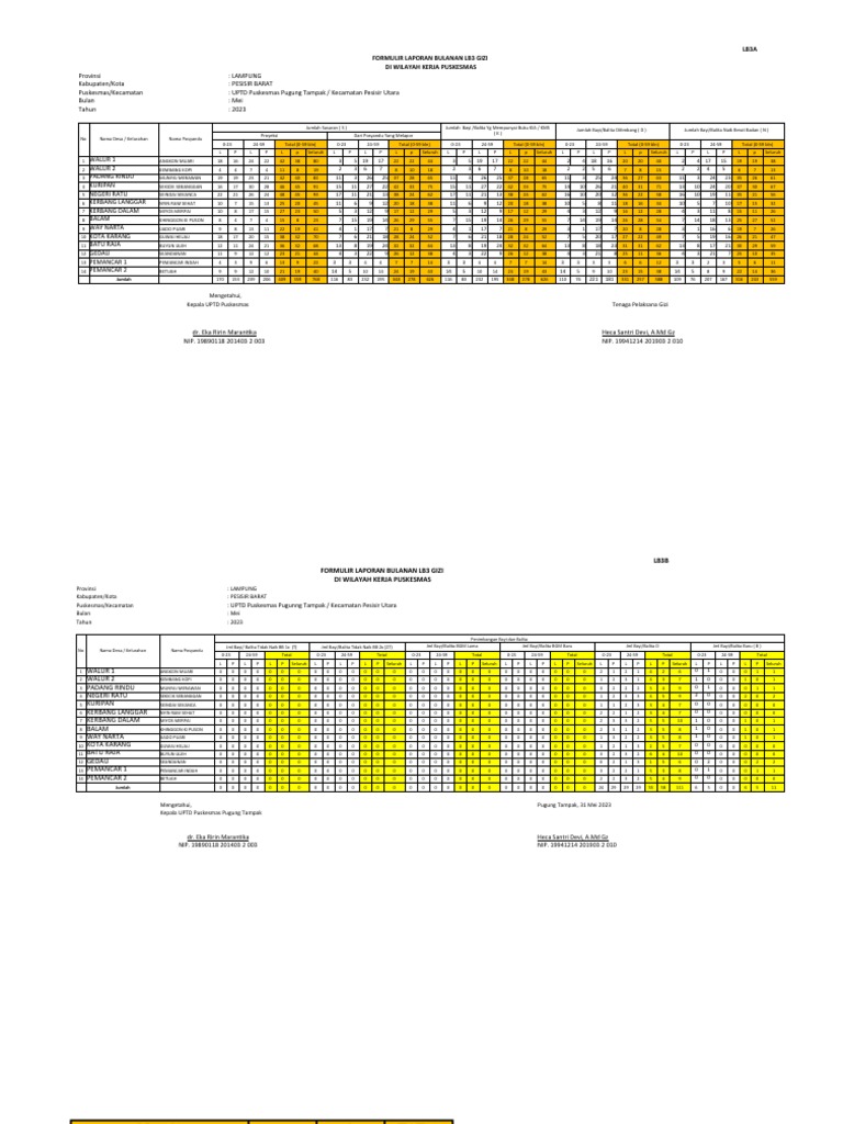 Format SKDN MEI | PDF