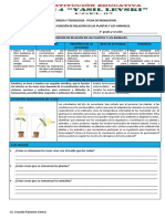 FICHA SEMANA 25 EDA 6 EXPLICA Cómo Es La Función de Relación en Las Plantas y Los Animales