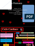 Ciclo Cardiaco