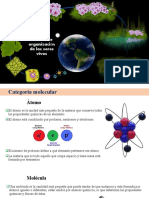 7 Niveles de Organización