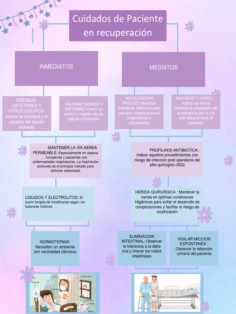Mapa - Conceptualcuidados Del Paciente | PDF | Salud pública | Causas ...